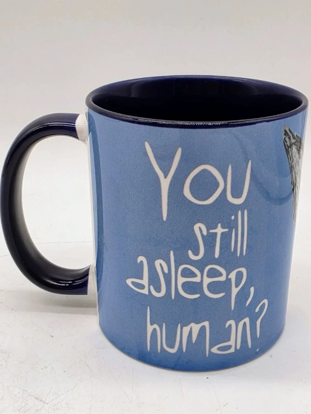 Cat Humor You Still Asleep Human? Coffee Cup Mug By Pithitude Microwave Safe